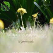 English House  DEEP FEELINGS 