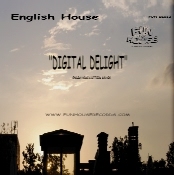 English House DIGITAL DELIGHT
